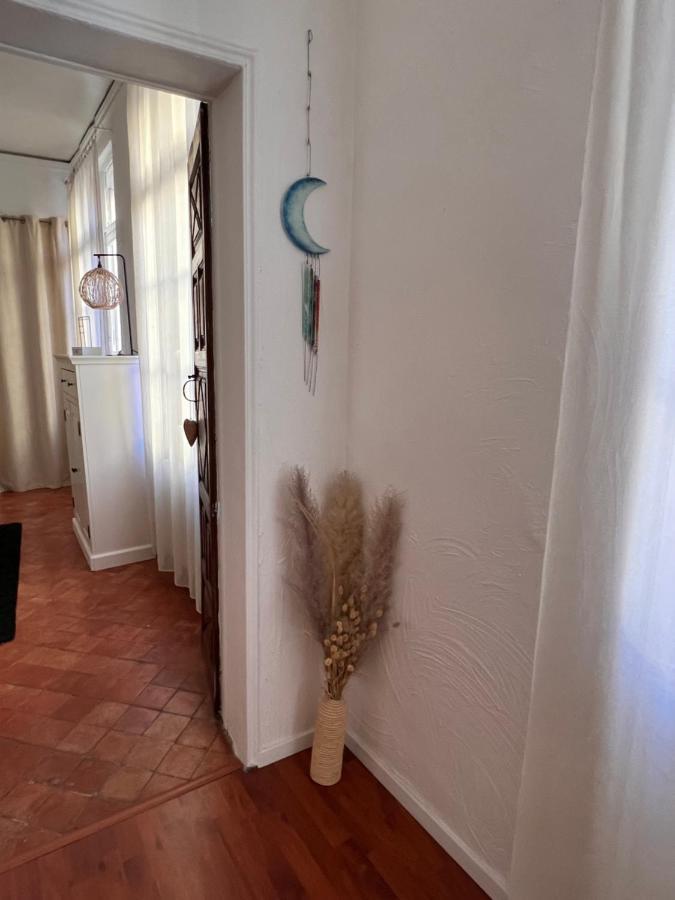 Perpignan Appartement En Plein Centre Historique Екстер'єр фото